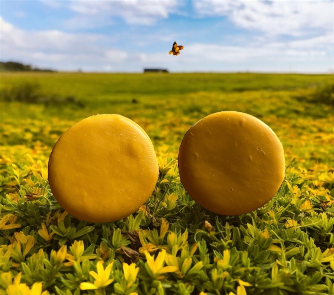 Mustard Button Earrings