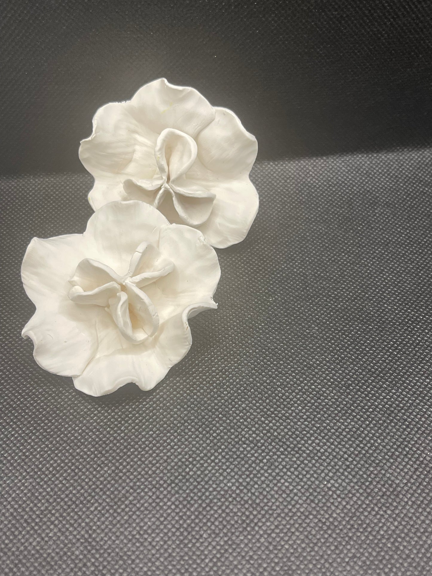 Petal Bloom