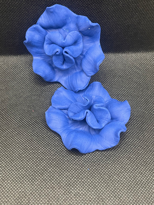 Petal Bloom